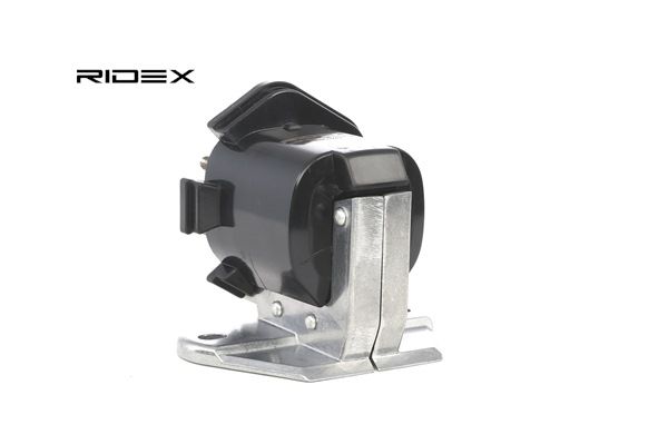 Sytytyspuola 689C0243 alkaen RIDEX