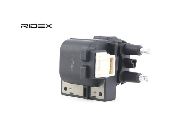 RIDEX Bobine d'allumage (689C0154) pour RENAULT Megane Scenic (JA, JA0/1) 1.6 e (JA0F) (66 KW / 90 CH / de 1996)