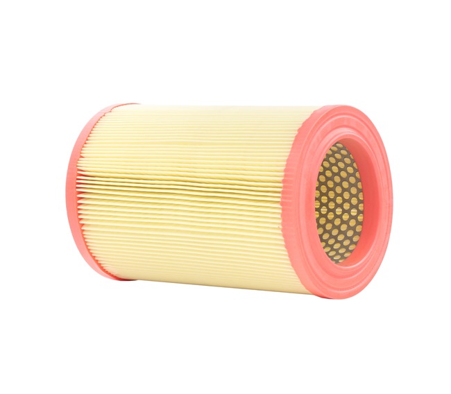 Luftfilter RIDEX 8A0391
