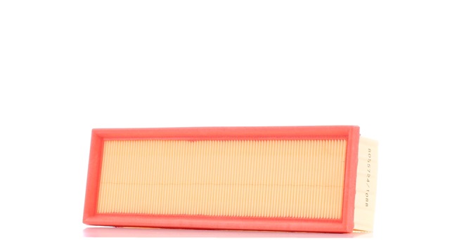 OEM 1444Q1 RIDEX Filtre à air 8A0385 pour RENAULT, PEUGEOT, VOLKSWAGEN, CITROЁN