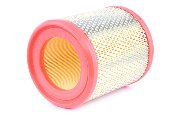 EXPRESS Luftfilter 8A0495 RIDEX