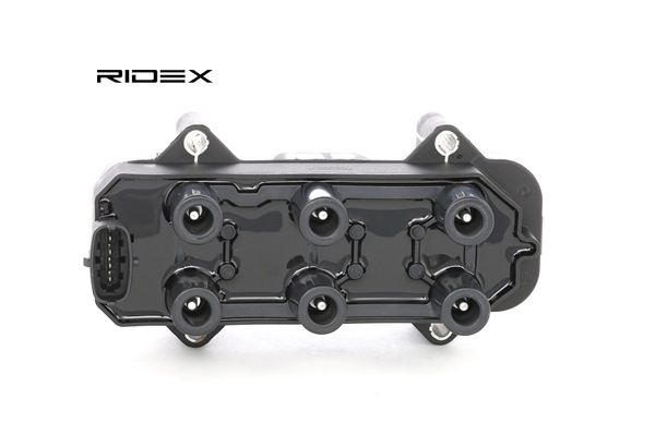OEM 1208075 RIDEX Bobina d'accensione 689C0267 per OPEL, TESLA, VAUXHALL, DAF, HOLDEN