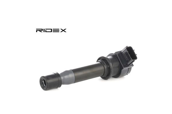 Sytytyspuola 689C0246 alkaen RIDEX