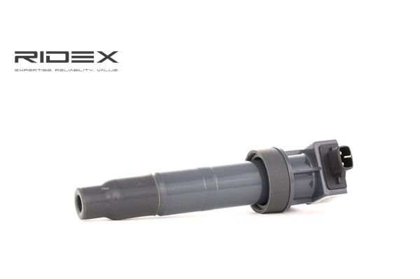 Zündspule 689C0193 RIDEX