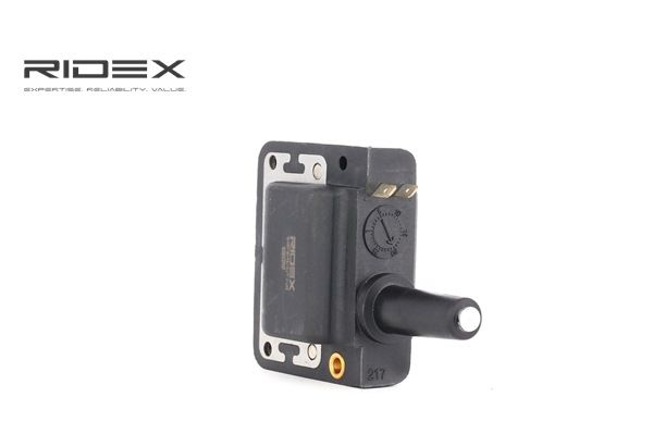 OEM 138815 RIDEX Sytytyspuola 689C0181 varten
