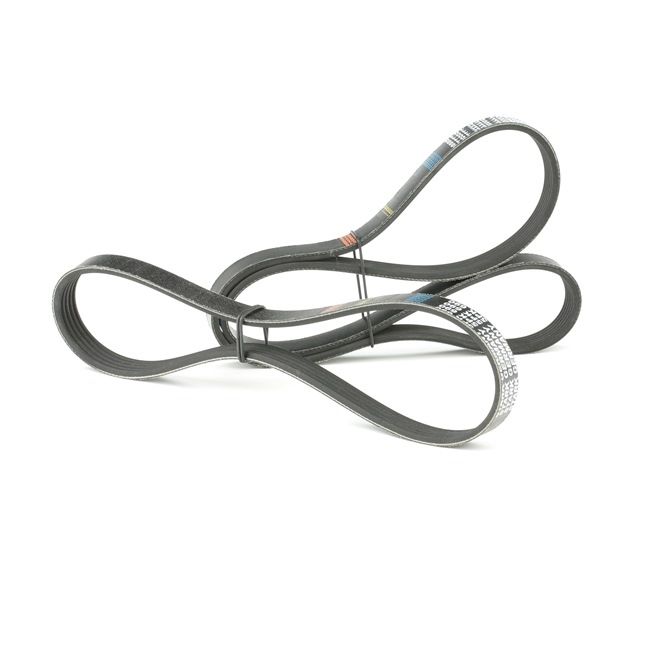 STARK Multiriem SKRBS-1200017