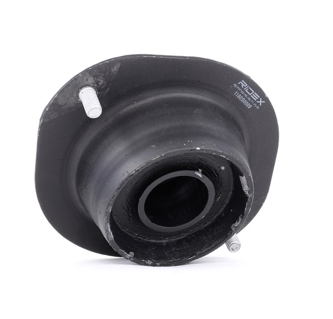 RIDEX Veerpoot lager 1180S0009