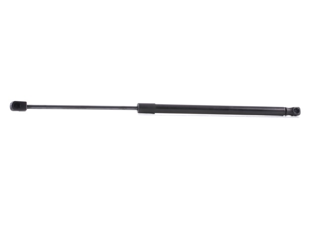 kaufen Heckklappendämpfer - RIDEX (219G0376)