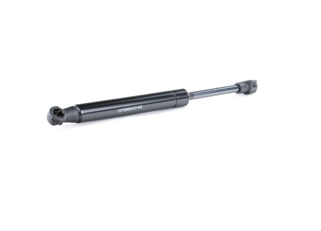 OEM 51248230070 RIDEX Kaasujousi, tavaratila 219G0070 varten BMW, FORD