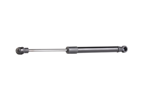 Ammortizzatore pneumatico, Capote RIDEX 219G0354
