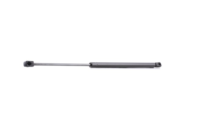 RIDEX Gas struts (tailgate struts) 219G0109