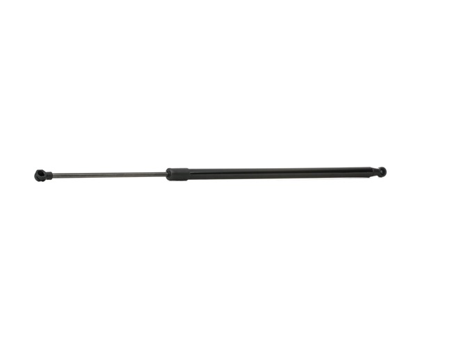 Ammortizatore pneumatico, Cofano bagagli / vano carico 219G0134 RIDEX