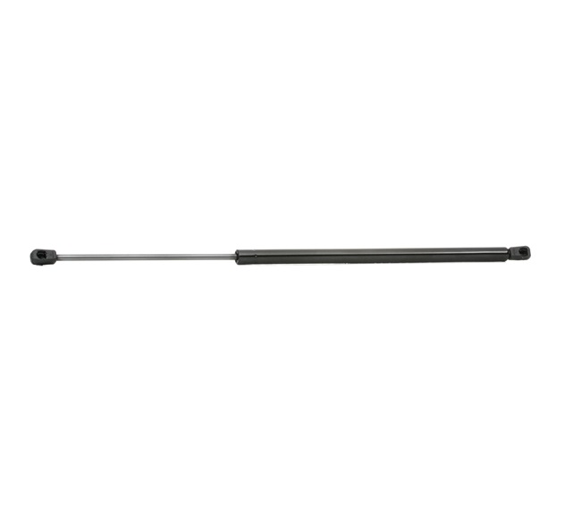 Heckklappendämpfer 219G0310 preiswert von RIDEX