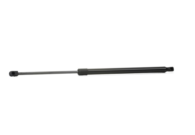 RIDEX Bagklapsdæmper (219G0196) til FIAT STILO Multi Wagon (192) 1.9 JTD (59 KW / 80 HK / fra 2003)