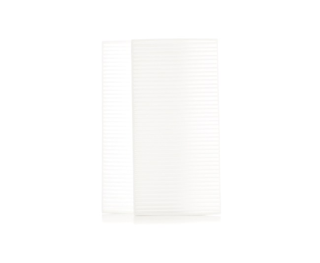 Innenraumfilter RIDEX 424I0315