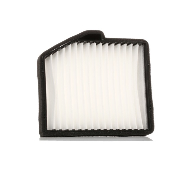 Pollen filter 424I0179 from RIDEX