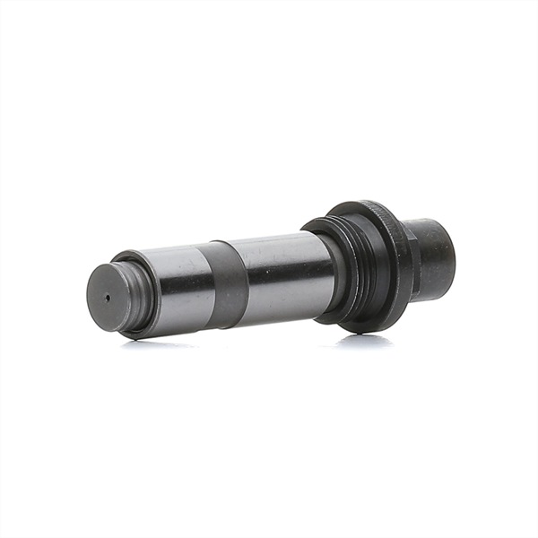 STARK Tensor de cadena de distribución (SKTTC-1330025) para BMW X5 (E53) 4.4 i (210 KW / 286 CV / de 2000)