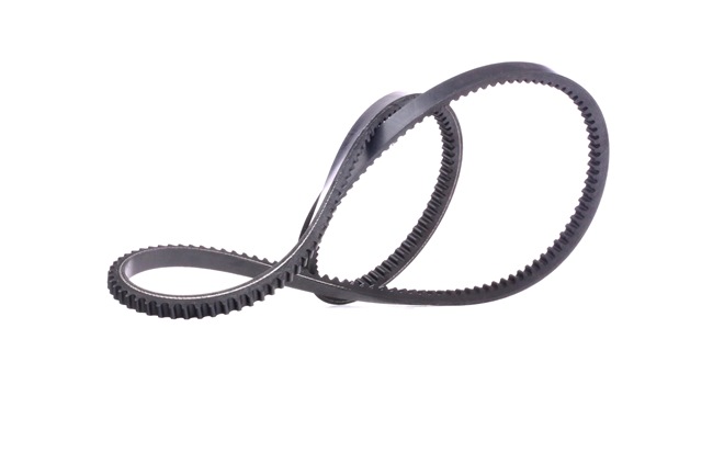 OEM 1876670M1 RIDEX Kiilahihna 10C0052 varten