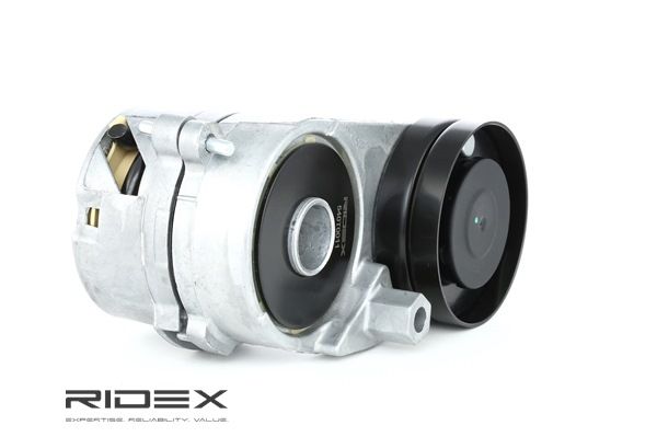 RIDEX Spanner, Poly V-riem 540T0011 voor SKODA
