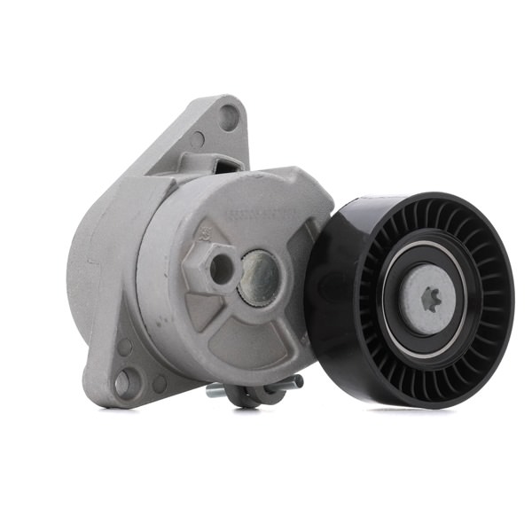 Serie 5 Rullo tenditore cinghia Poly-V 310T0022 RIDEX