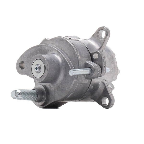 SPRINTER Riemspanner, Poly V-riem 541V0008 RIDEX
