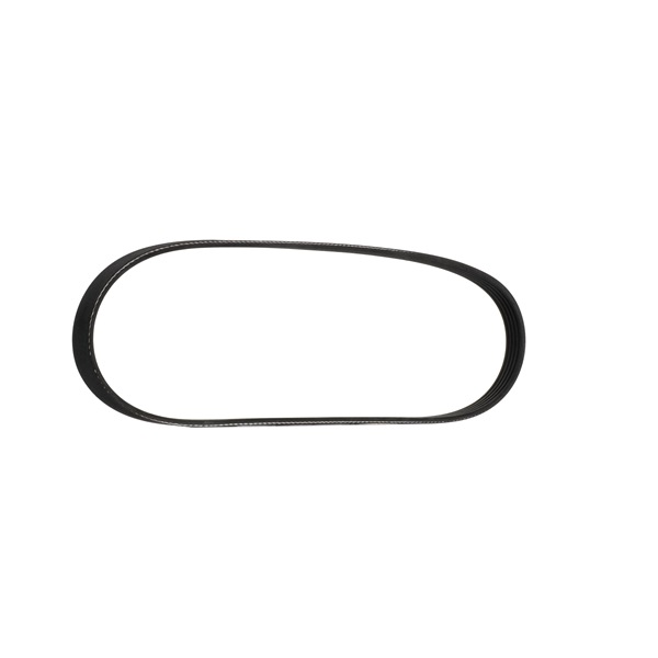 RIDEX Courroie Poly-V (305P0026) pour PROTON Impian Berline 1.6 (CF1S) (76 KW / 102 CH / de 2001)