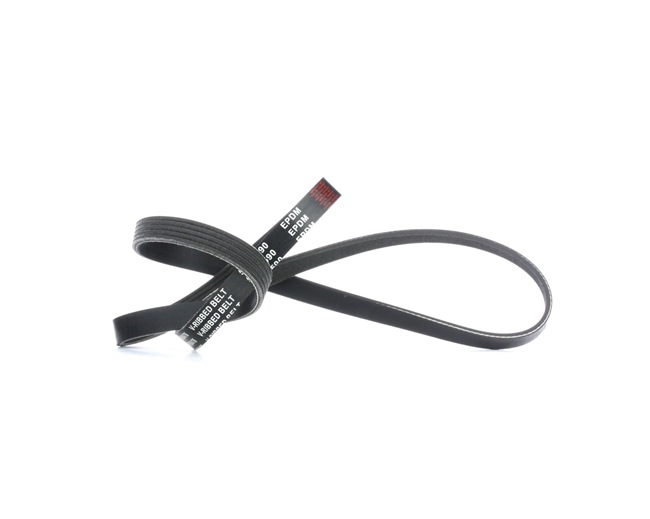 Multiriem (305P0042) van RIDEX Voor VW PASSAT Variant (3B5) 1.9 TDI (81 KW / 110 PK / Van 1997)