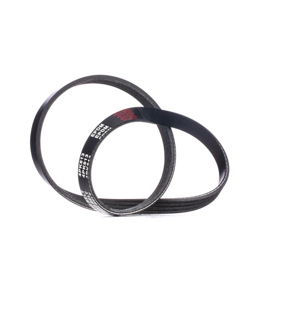 SWIFT Cinghia servizi 305P0230 RIDEX
