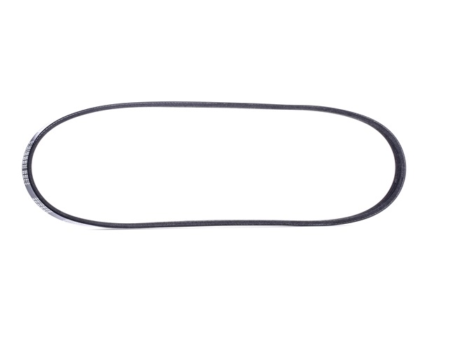 RIDEX Correia trapezoidal estriada (305P0124) para HONDA CIVIC VI Aerodeck (MB, MC) 1.4 16V (MB8) (55 KW / 75 CV / de 1998)