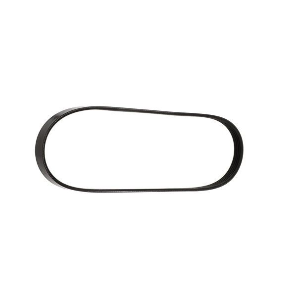 RIDEX Correa trapecial poli V (305P0027) para RENAULT Clio II Hatchback (BB, CB) 1.2 (BB0A, BB0F, BB10, BB1K, BB28, BB2D, BB2H, CB0A,... (43 KW / 58 CV / de 1998)