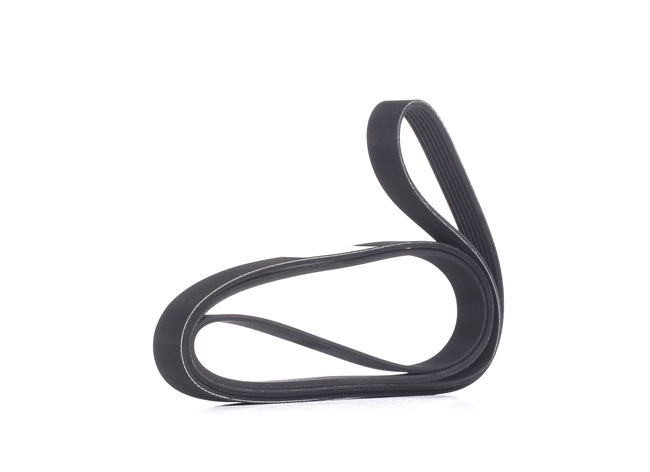 K2500 Courroie Poly-V 305P0108 RIDEX