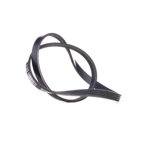 CRX Courroie Poly-V 305P0016 RIDEX