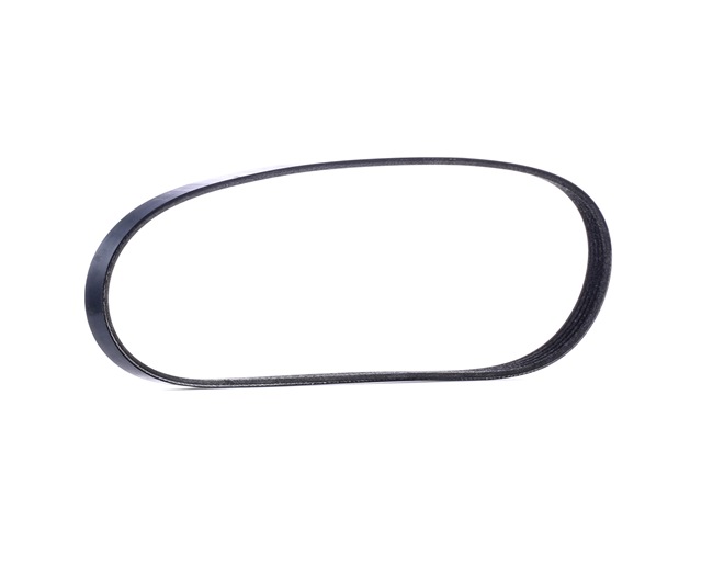 OEM 71742127 RIDEX Kilerem 305P0025 med FIAT, ALFA ROMEO, LANCIA, AUTO UNION