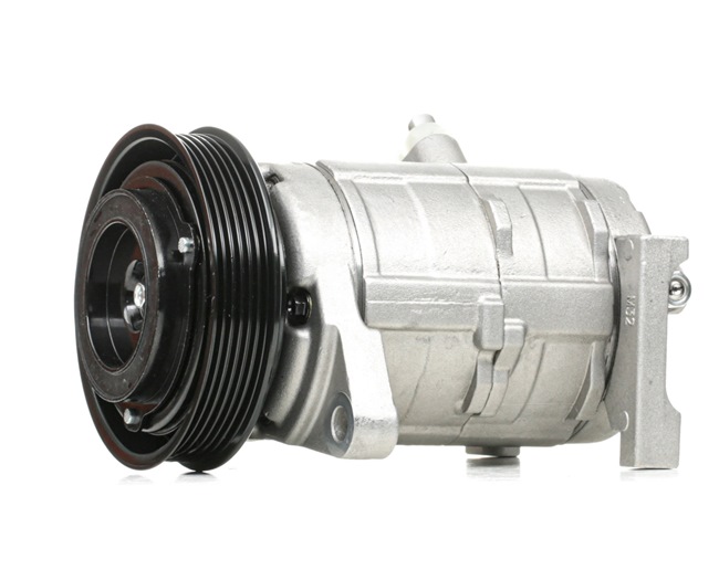 CARAVAN Compressor, ar condicionado 447K0236 RIDEX