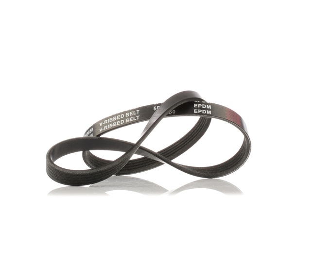 PRELUDE Courroie Poly-V 305P0148 RIDEX