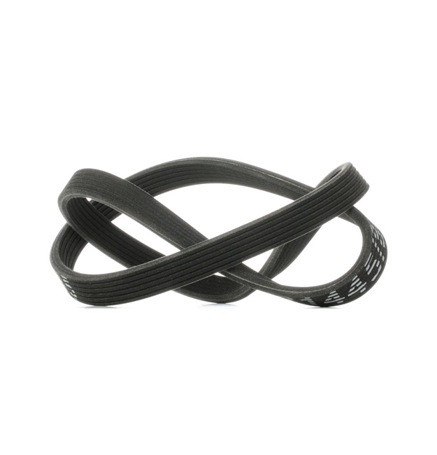 Multiriem (305P0153) van RIDEX Voor VW Multivan V (7HM, 7HN, 7HF, 7EF, 7EM, 7EN) 1.9 TDI (75 KW / 102 PK / Van 2006)