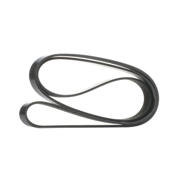 RIDEX Correia do alternador 305P0338