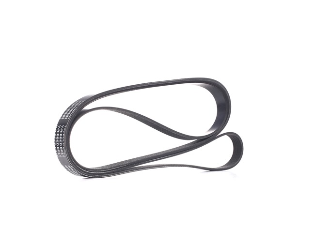 Multiriem (305P0225) van RIDEX Voor AUDI A8 (4D2, 4D8) 3.3 TDI quattro (165 KW / 224 PK / Van 2000)