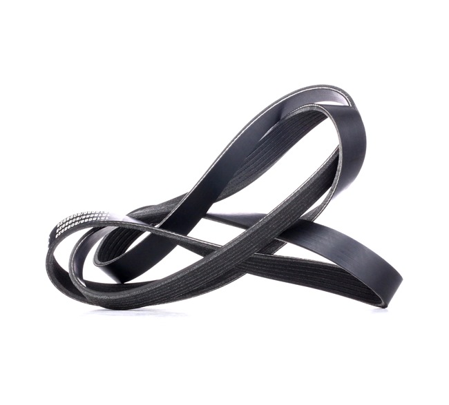 ESCORT Serpentine belt 305B0283 RIDEX