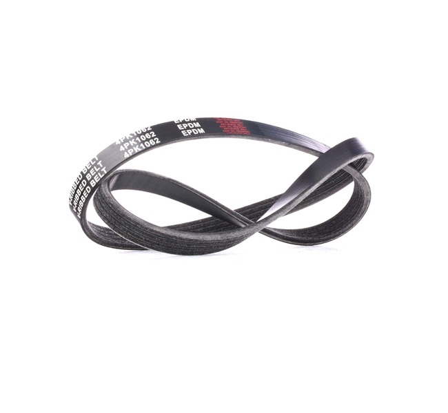 PREGIO Courroie Poly-V 305P0201 RIDEX