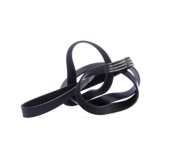 OEM A0149971592 RIDEX Moniurahihna 305P0229 varten MERCEDES-BENZ