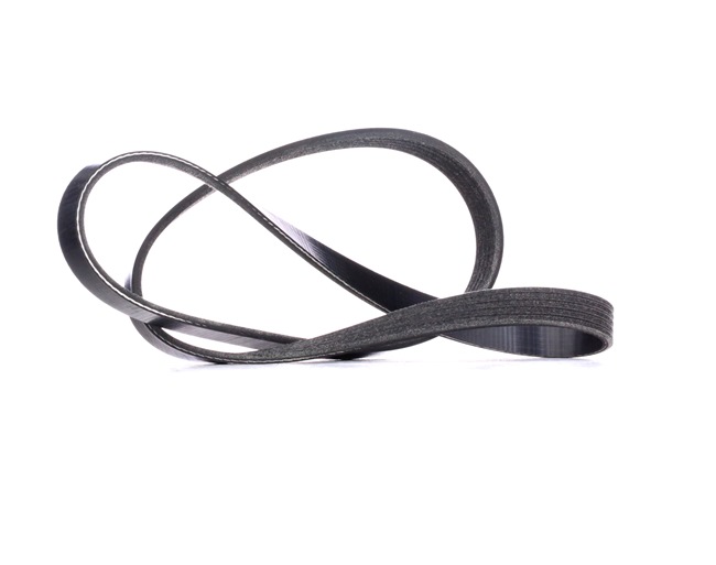 Ribrem RIDEX 305B0258