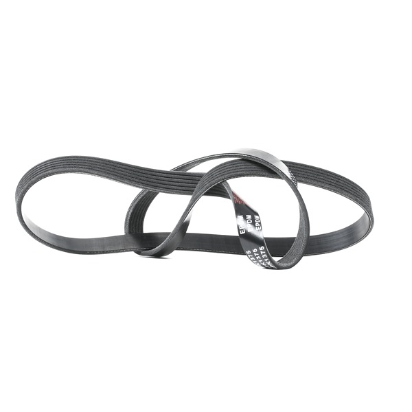 Cinghia servizi RIDEX 305P0224