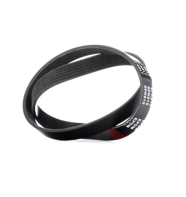 PRELUDE Courroie Poly-V 305P0358 RIDEX