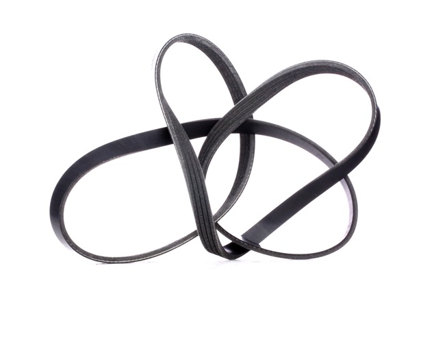 RIDEX Courroie d'alternateur 305P0326
