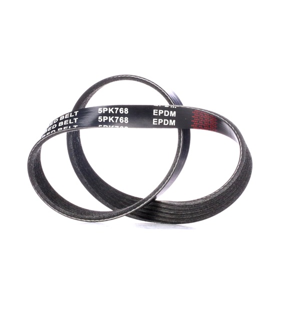 RIDEX Cinghia servizi 305P0251