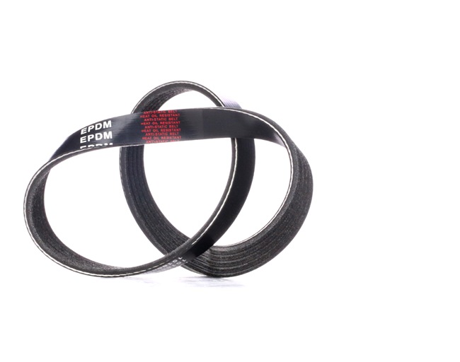 RIDEX Flerspårsrem / poly-v rem 305P0324