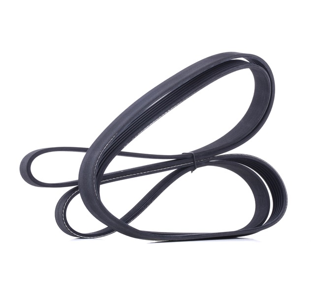 RIDEX Multiriem 305P0365