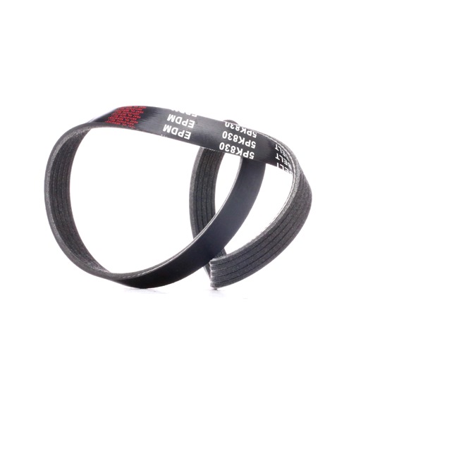 OEM 9266380 RIDEX Moniurahihna 305P0197 varten OPEL, CHEVROLET, VAUXHALL