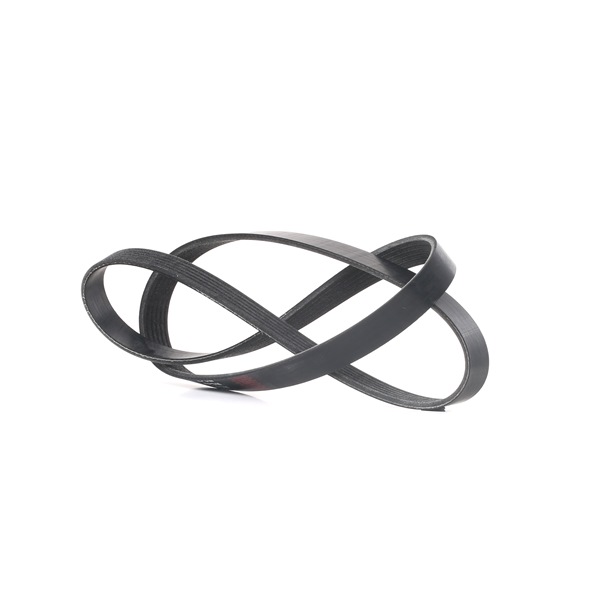 VISION Courroie Poly-V 305P0190 RIDEX